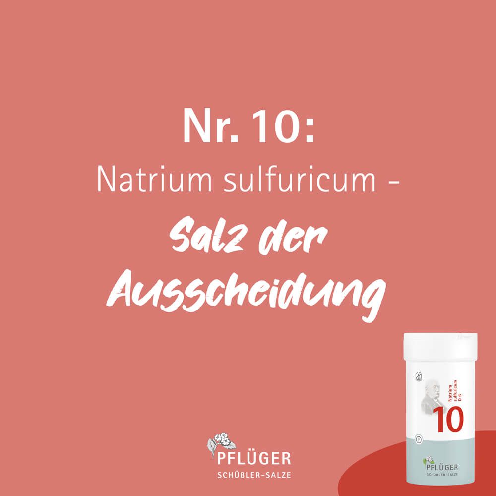 BIOCHEMIE Pflüger 10 Natrium sulfuricum D 6 Tabl.