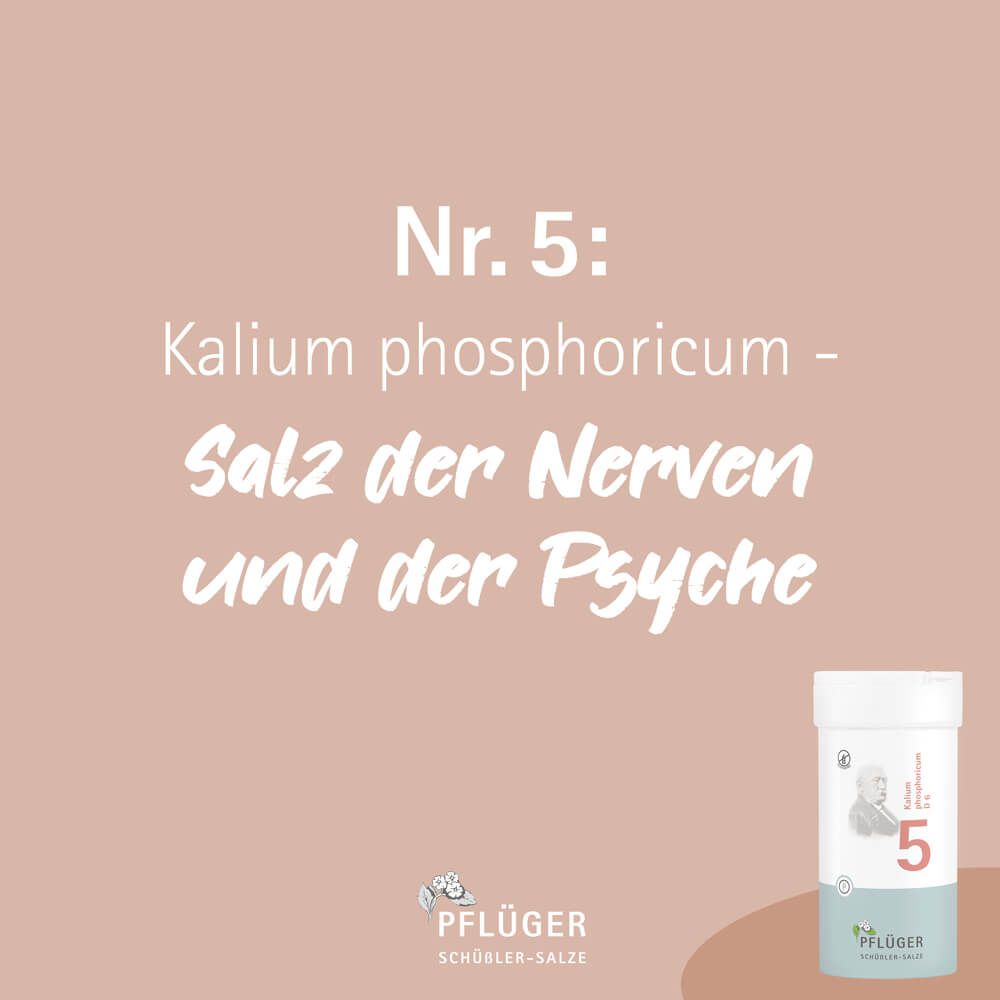 BIOCHEMIE Pflüger 5 Kalium phosphoricum D 6 Tabl.