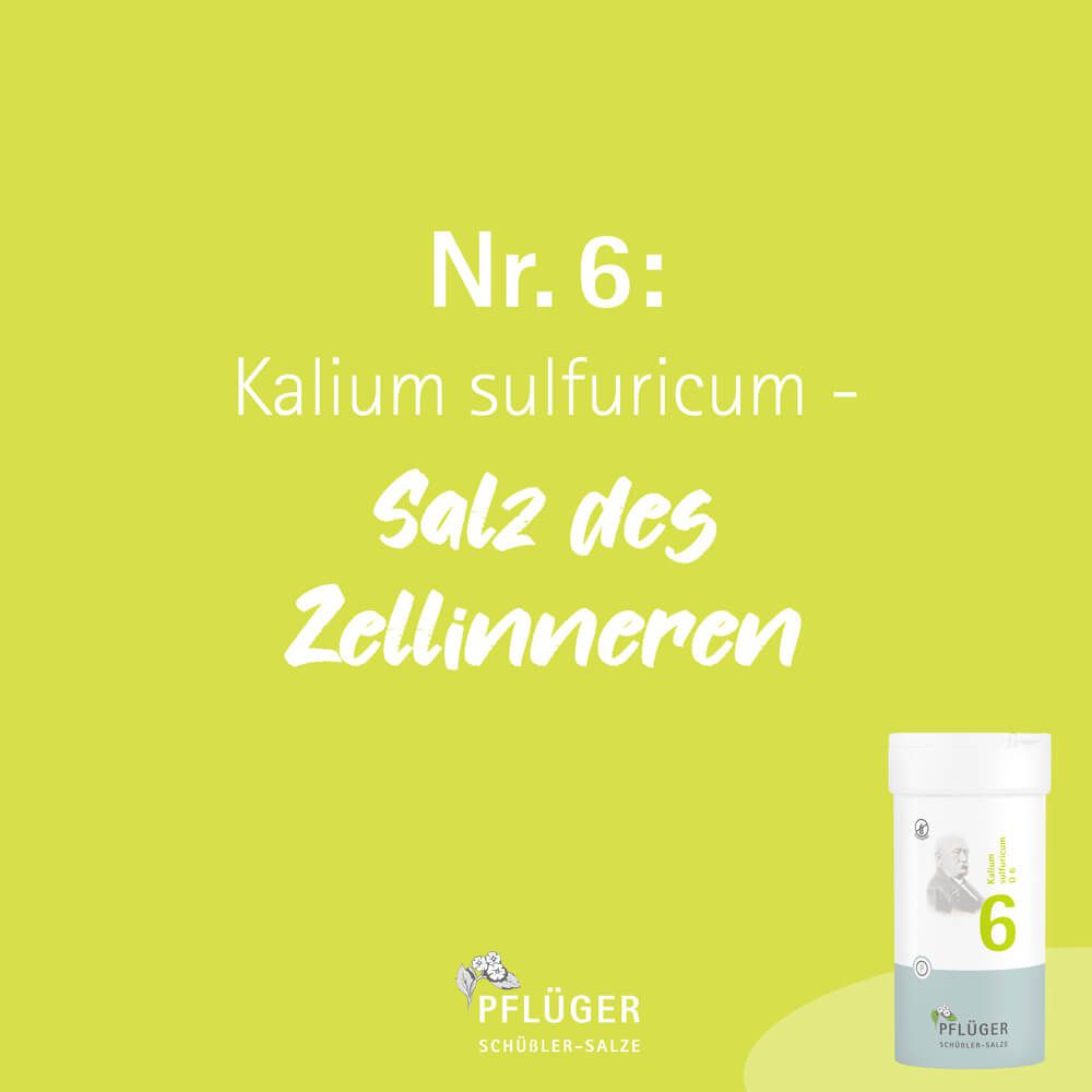BIOCHEMIE Pflüger 6 Kalium sulfuricum D 6 Tabl.