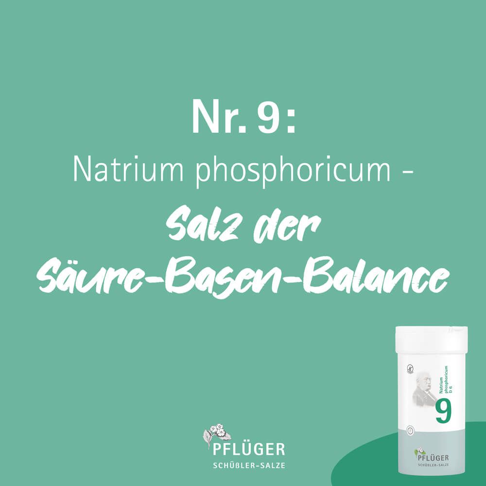 BIOCHEMIE Pflüger 9 Natrium phosphoricum D 6 Tabl.
